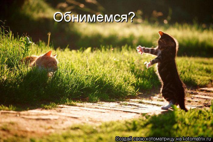 Обнимемся?... Котоматрица: Обнимемся?