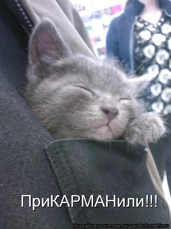 ПриКАРМАНили!!!... Котоматрица: ПриКАРМАНили!!!