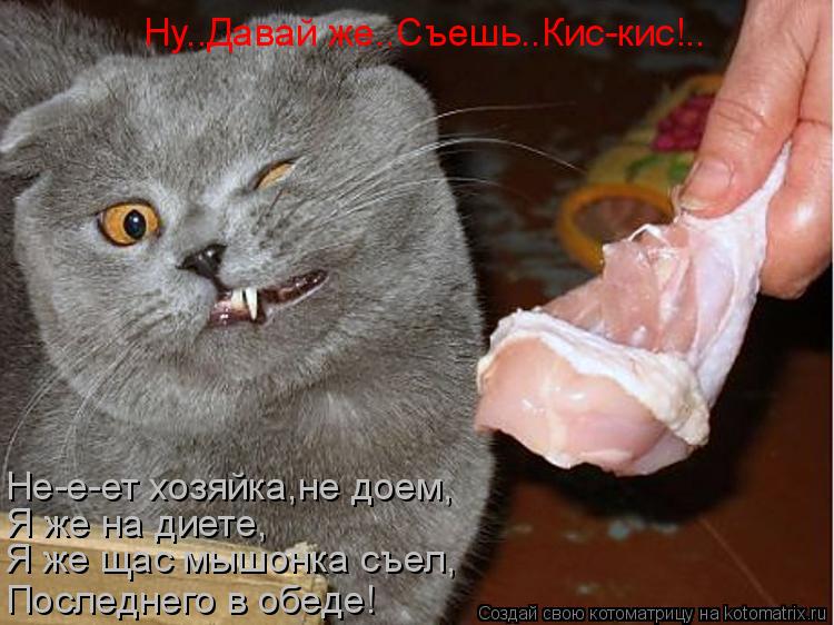 Ну..Давай же..Съешь..Кис-кис!.. Не-е-ет хозяйка,не доем, Я же на диете, Я же щас мышонка съел, Послед... Котоматрица: Ну..Давай же..Съешь..Кис-кис!.. Не-е-ет хозяйка,не доем, Я же на диете, Я же щас мышонка съел, Последнего в обеде!