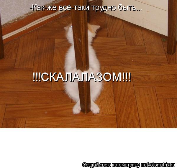 -Как-же всё-таки трудно быть... !!!СКАЛАЛАЗОМ!!!... Котоматрица: -Как-же всё-таки трудно быть... !!!СКАЛАЛАЗОМ!!!
