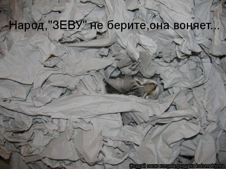 -Народ,"ЗЕВУ" не берите,она воняет...... Котоматрица: -Народ,"ЗЕВУ" не берите,она воняет...