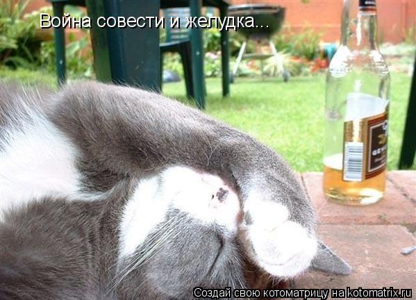 Война совести и желудка...... Котоматрица: Война совести и желудка...