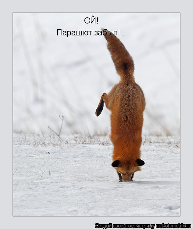 ОЙ! Парашют забыл!..... Котоматрица: ОЙ! Парашют забыл!..
