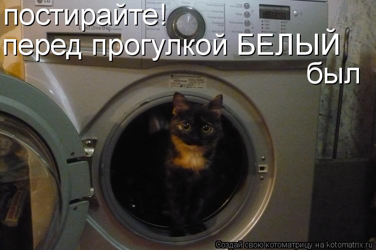 постирайте! перед прогулкой БЕЛЫЙ был... Котоматрица: постирайте! перед прогулкой БЕЛЫЙ был