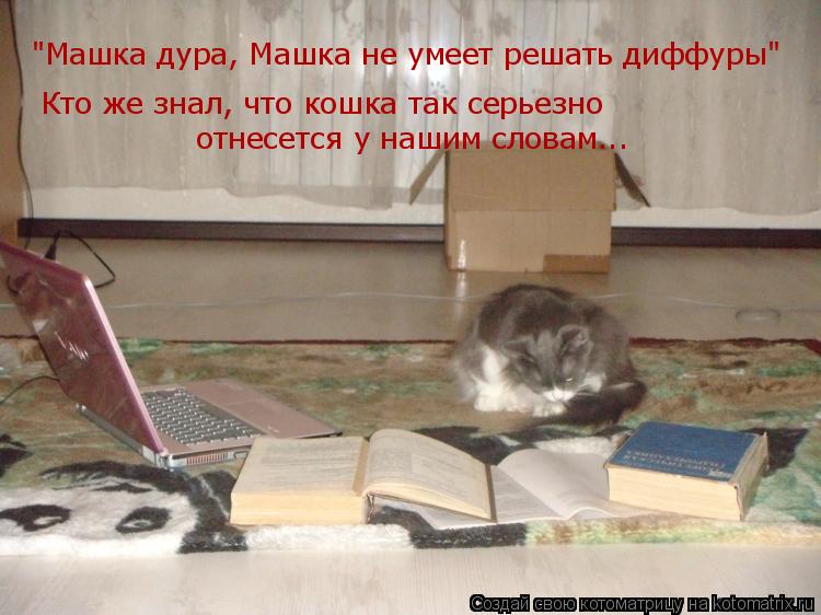 "Машка дура, Машка не умеет решать диффуры" Кто же знал, что кошка так серьезно отнесется у нашим сло... Котоматрица: "Машка дура, Машка не умеет решать диффуры" Кто же знал, что кошка так серьезно отнесется у нашим словам...