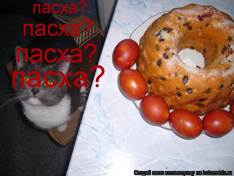 пасха? пасха? пасха? пасха?... Котоматрица: пасха? пасха? пасха? пасха?