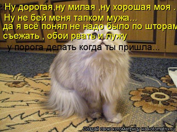 Ну дорогая,ну милая ,ну хорошая моя . Ну не бей меня тапком мужа... да я всё понял не надо было по шт... Котоматрица: Ну дорогая,ну милая ,ну хорошая моя . Ну не бей меня тапком мужа... да я всё понял не надо было по шторам съежать , обои рвать и лужу у порога де