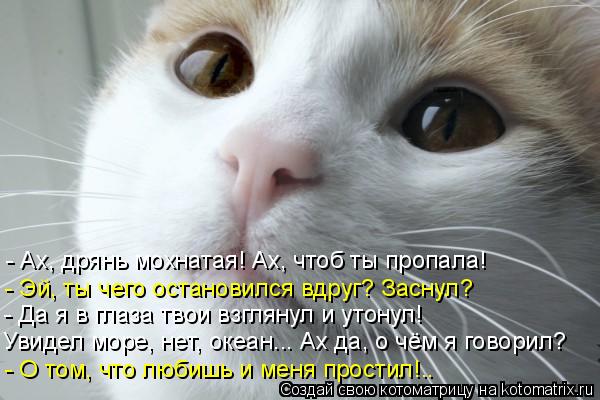 Котоматрица: - Ах, дрянь мохнатая! Ах, чтоб ты пропала! - Эй, ты чего остановился вдруг? Заснул? - Да я в глаза твои взглянул и утонул! Увидел море, нет, океан...