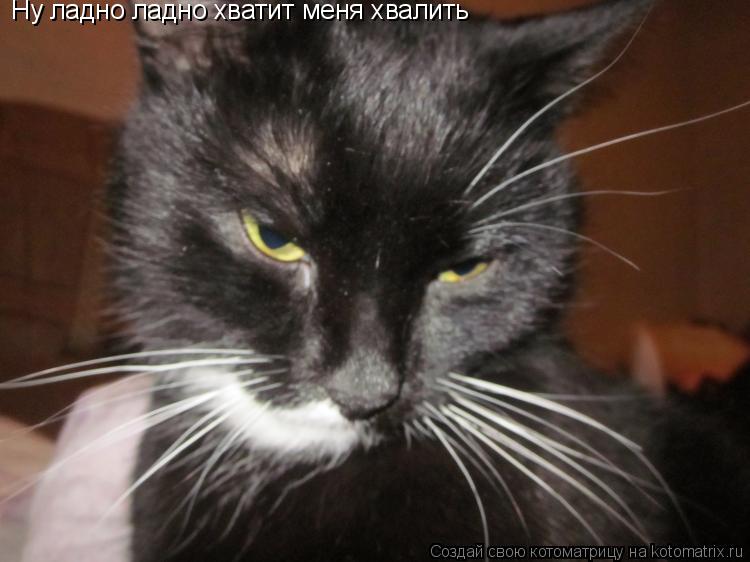 Ну ладно ладно хватит меня хвалить... Котоматрица: Ну ладно ладно хватит меня хвалить