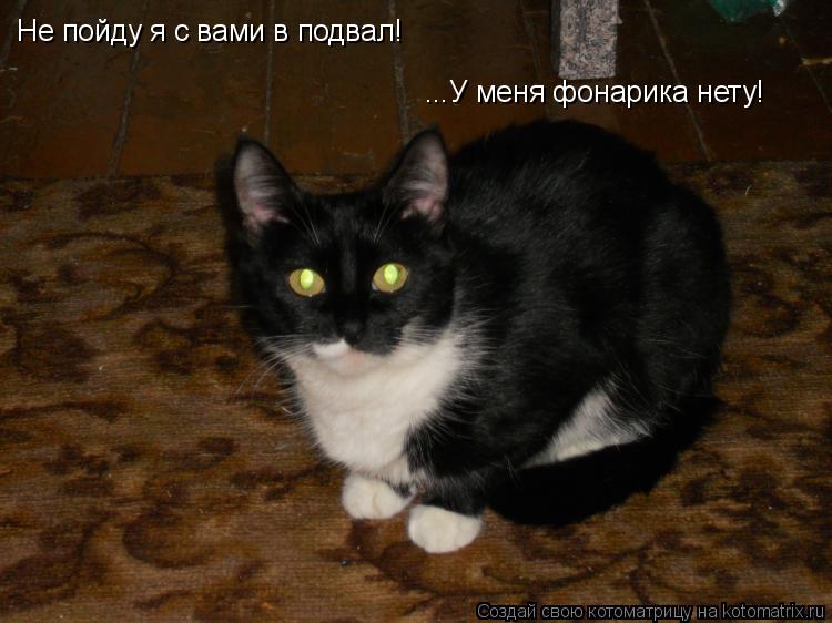 Котоматрица: Не пойду я с вами в подвал! ...У меня фонарика нету!