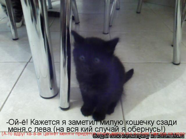 Котоматрица: -Ой-ё! Кажется я заметил милую кошечку сзади  меня,с лева.(на вся кий случай я обернусь!) (А-то вдруг ка-а-ак цапнет меня и придётся отчитыватся 