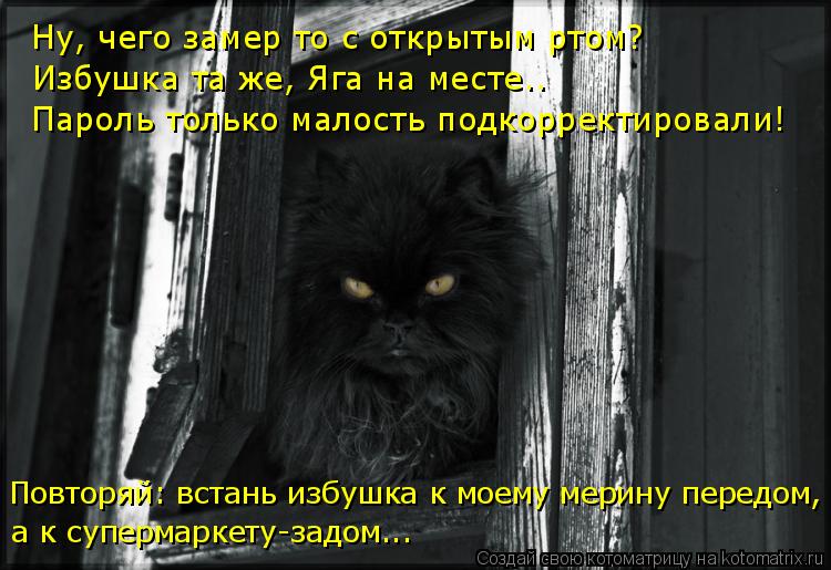 Котоматрица: Ну, чего замер то с открытым ртом? Избушка та же, Яга на месте.. Пароль только малость подкорректировали! Повторяй: встань избушка к моему мер
