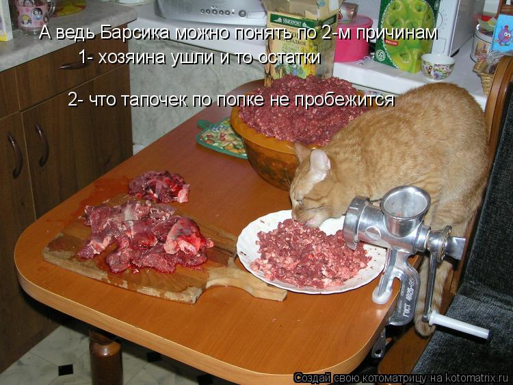 Котоматрица: А ведь Барсика можно понять по 2-м причинам 1- хозяина ушли и то остатки 2- что тапочек по попке не пробежится