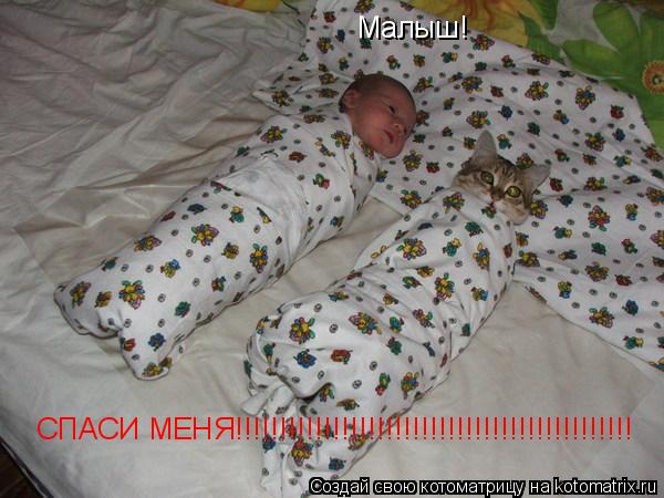 Малыш! СПАСИ МЕНЯ!!!!!!!!!!!!!!!!!!!!!!!!!!!!!!!!!!!!!!!!!!!!!... Котоматрица: Малыш! СПАСИ МЕНЯ!!!!!!!!!!!!!!!!!!!!!!!!!!!!!!!!!!!!!!!!!!!!!