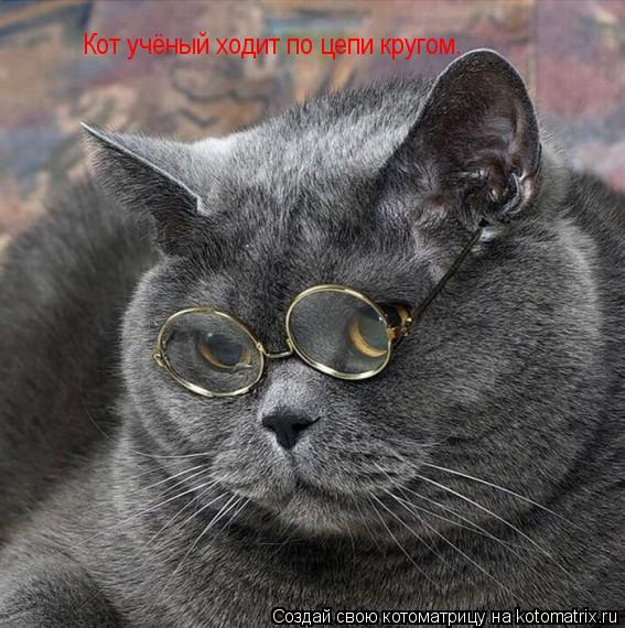 Кот учёный ходит по цепи кругом.... Котоматрица: Кот учёный ходит по цепи кругом.