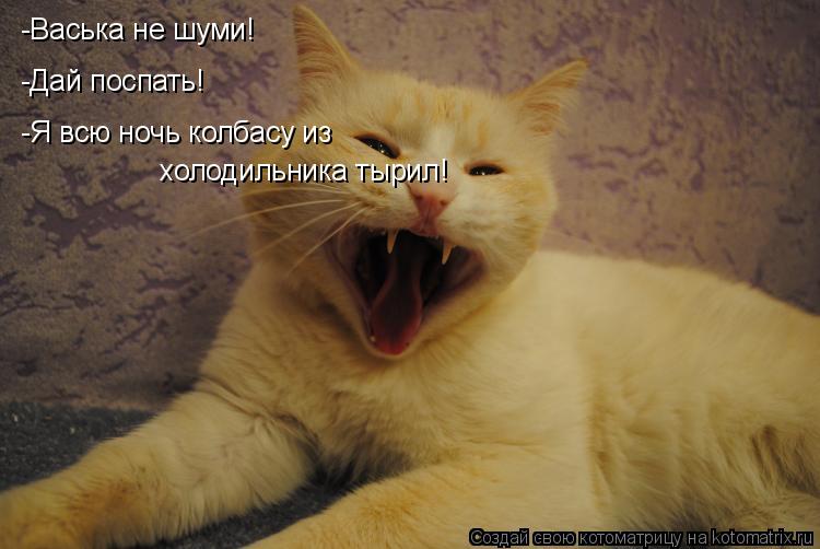 -Васька не шуми! -Дай поспать! -Я всю ночь колбасу из холодильника тырил!... Котоматрица: -Васька не шуми! -Дай поспать! -Я всю ночь колбасу из холодильника тырил!