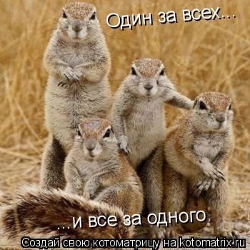 Один за всех... ...и все за одного... Котоматрица: Один за всех... ...и все за одного