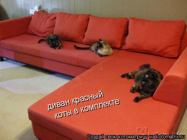 диван красный коты в комплекте... Котоматрица: диван красный коты в комплекте
