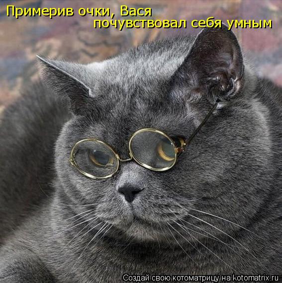 Примерив очки, Вася почувствовал себя умным... Котоматрица: Примерив очки, Вася почувствовал себя умным
