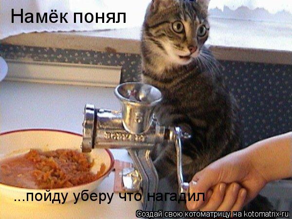 Намёк понял ...пойду уберу что нагадил... Котоматрица: Намёк понял ...пойду уберу что нагадил