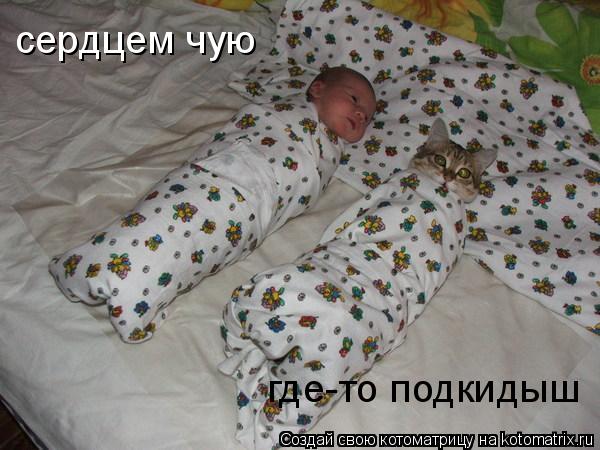 сердцем чую где-то подкидыш... Котоматрица: сердцем чую где-то подкидыш