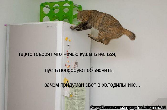 Котоматрица: те,кто говорят что ночью кушать нельзя, пусть попробуют объяснить, зачем придуман свет в холодильнике....