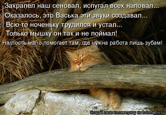 Захрапел наш сеновал, испугал всех наповал... Оказалось, это Васька эти звуки создавал... Всю то ноче... Котоматрица: Захрапел наш сеновал, испугал всех наповал... Оказалось, это Васька эти звуки создавал... Всю то ноченьку трудился и устал... Только мышку он т