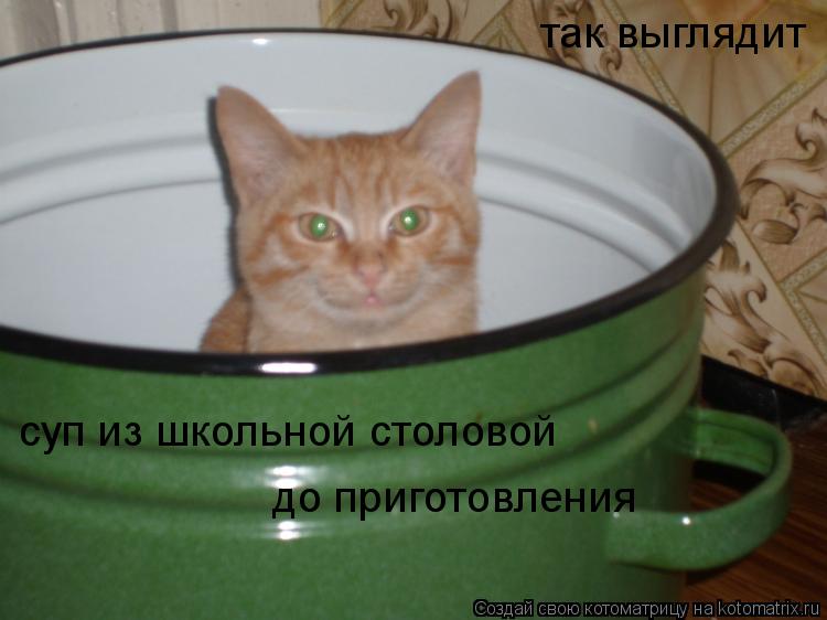 так выглядит суп из школьной столовой до приготовления... Котоматрица: так выглядит суп из школьной столовой до приготовления
