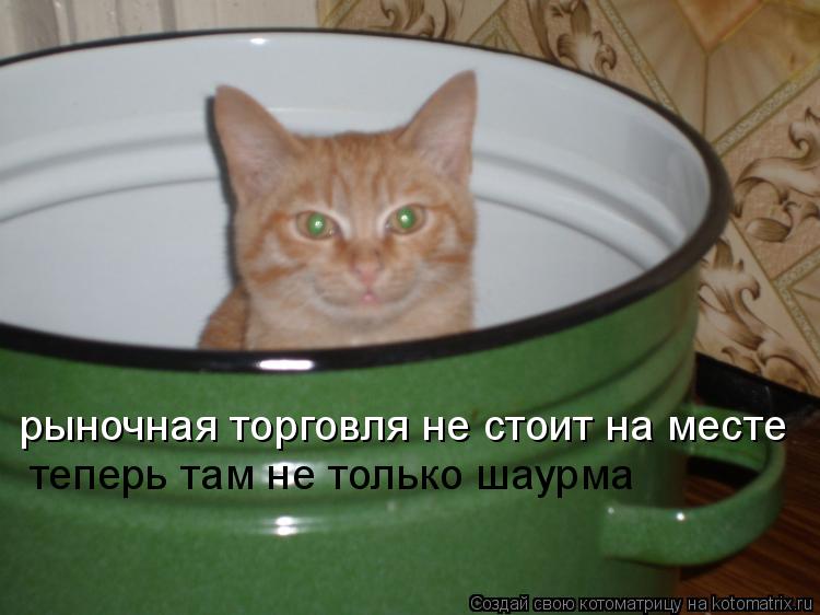 рыночная торговля не стоит на месте теперь там не только шаурма... Котоматрица: рыночная торговля не стоит на месте теперь там не только шаурма