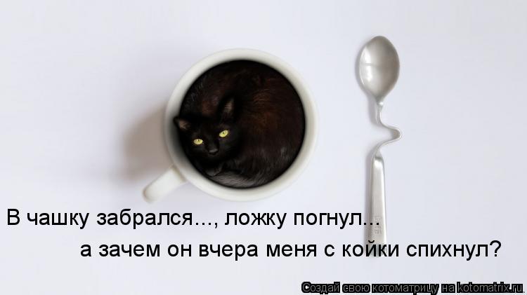 В чашку забрался..., ложку погнул... а зачем он вчера меня с койки спихнул?... Котоматрица: В чашку забрался..., ложку погнул... а зачем он вчера меня с койки спихнул?
