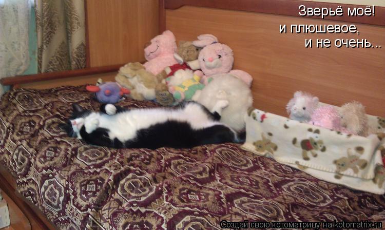 Зверьё моё! и плюшевое, и не очень...... Котоматрица: Зверьё моё! и плюшевое, и не очень...