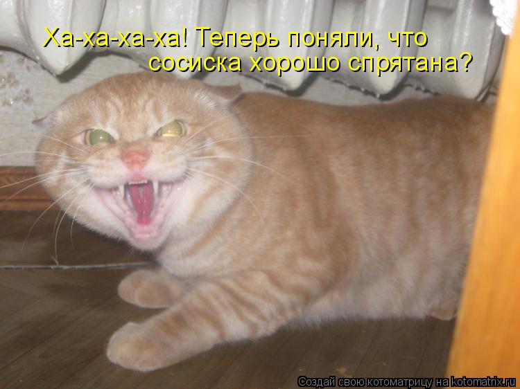 Ха-ха-ха-ха! Теперь поняли, что сосиска хорошо спрятана?... Котоматрица: Ха-ха-ха-ха! Теперь поняли, что сосиска хорошо спрятана?