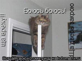 Боюсь боюсь! ща врежу!! Ща дверь закрою... Котоматрица: Боюсь боюсь! ща врежу!! Ща дверь закрою