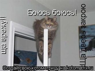 Котоматрица: Боюсь боюсь! ща врежу!! Ща дверь закрою