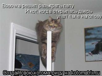 Котоматрица: Вовочка решил разыграть папу И кот, когда открылась дверь  упал папе наголову