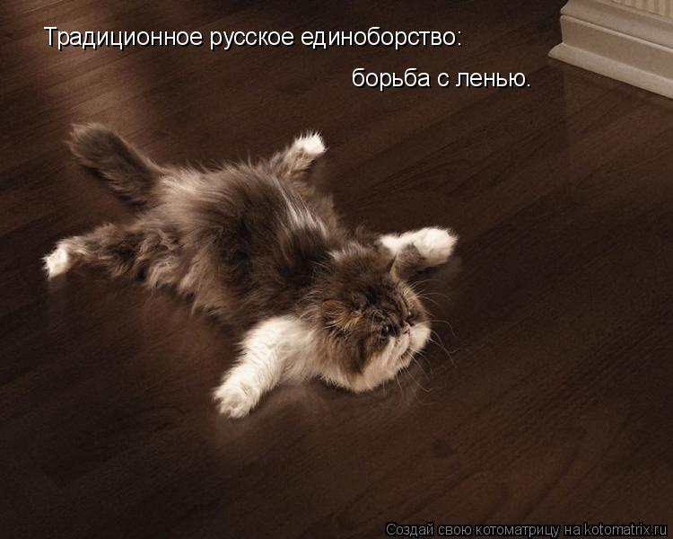 Котоматрица: Традиционное русское единоборство: борьба с ленью.