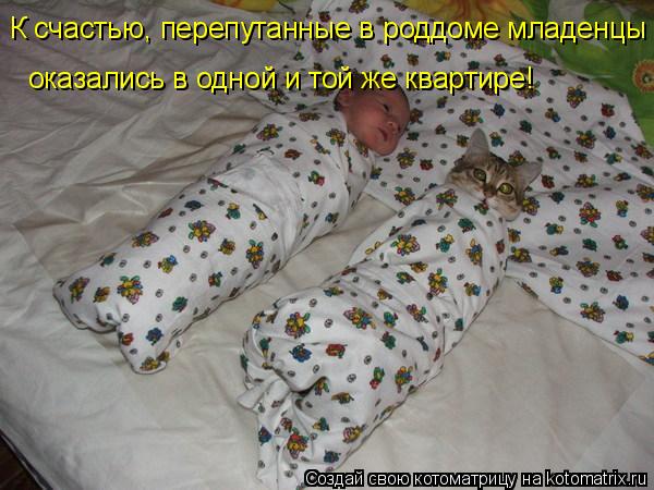 Котоматрица: К счастью, перепутанные в роддоме младенцы  оказались в одной и той же квартире!