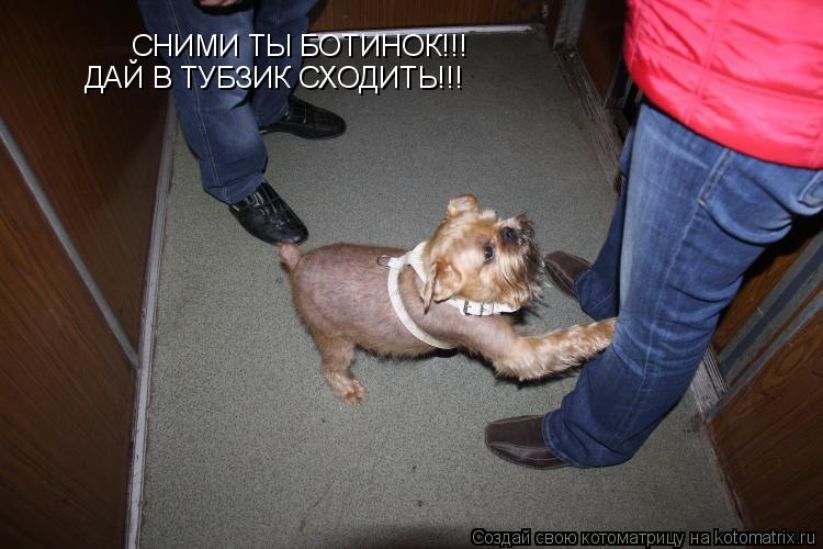 Котоматрица: СНИМИ ТЫ БОТИНОК!!! ДАЙ В ТУБЗИК СХОДИТЬ!!!