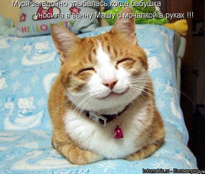 Котоматрица: Муся загадочно улыбалась,когда бабушка уносила в ванну Машу с мочалкой в руках !!!