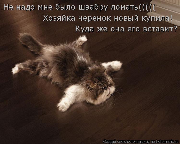 Котоматрица: Не надо мне было швабру ломать(((((  Хозяйка черенок новый купила! Куда же она его вставит?