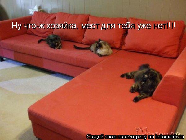 Котоматрица: Ну что-ж хозяйка, мест для тебя уже нет!!!!