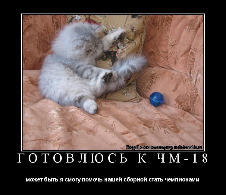 Котоматрица: Готовлюсь к ЧМ-18 может быть я смогу помочь нашей сборной стать чемпионами