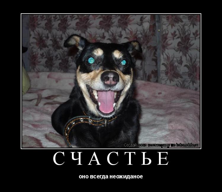 Котоматрица: счастье оно всегда неожиданое