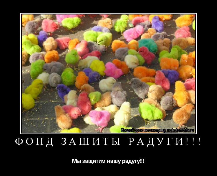 Котоматрица: Фонд зашиты радуги!!! Мы защитим нашу радугу!!!