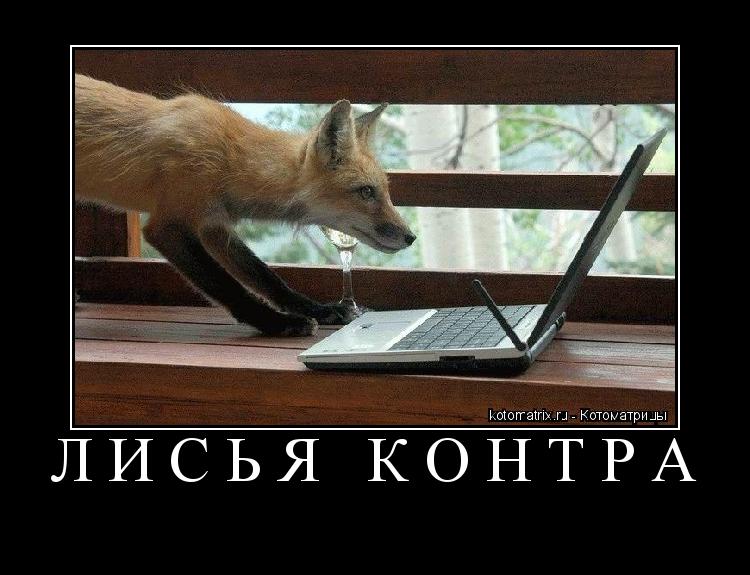 Котоматрица: ЛИСЬЯ КОНТРА 