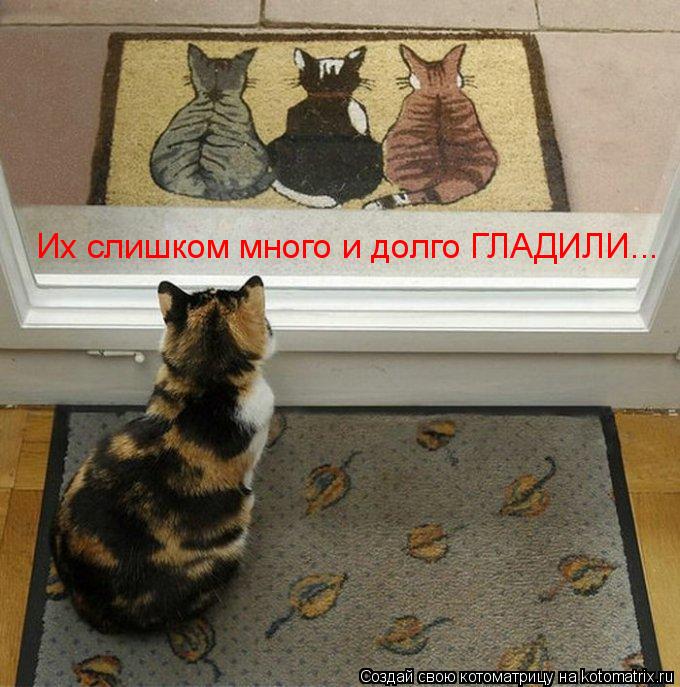 Их слишком много и долго ГЛАДИЛИ...... Котоматрица: Их слишком много и долго ГЛАДИЛИ...