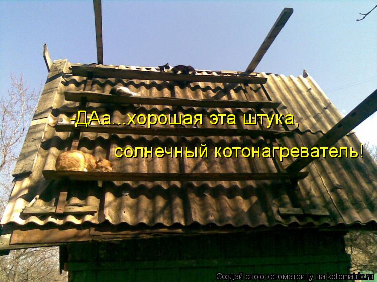 Котоматрица: -ДАа...хорошая эта штука,  солнечный котонагреватель!