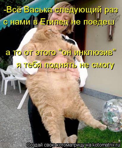 Котоматрица: -Всё Васька следующий раз с нами в Египед не поедеш а то от этого "он инклюзив"  я тебя поднять не смогу