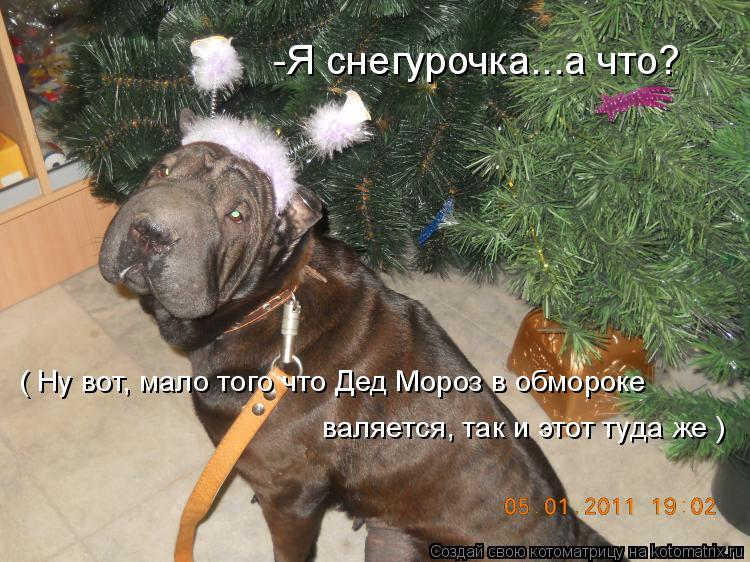 Котоматрица: -Я снегурочка...а что? ( Ну вот, мало того что Дед Мороз в обмороке валяется, так и этот туда же )