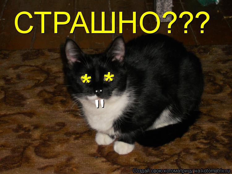 Котоматрица: * * .. " СТРАШНО???